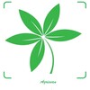 蜜桃视频播放器